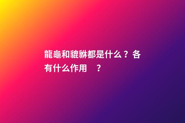 龍龜和貔貅都是什么？各有什么作用？